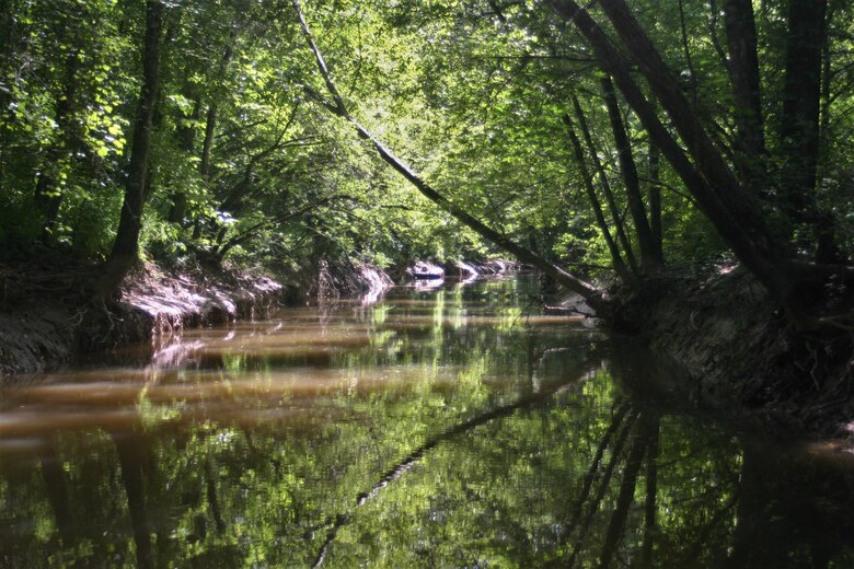 The Memphis District recently finalized the feasibility study phase of the Piney Creek Aquatic Ecosystem Restoration Project.

The study, conducted in accordance with Section 206 of the Water Resources Development Act of 1996, identified and evaluated alternatives in a decision document that recommended a coordinated and implementable solution for restoring aquatic ecosystem of Piney Creek.