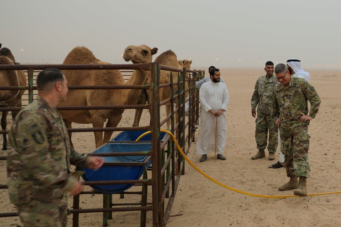 U.S. Army and Al Jahra leaders view camels during a meeting in the desert.