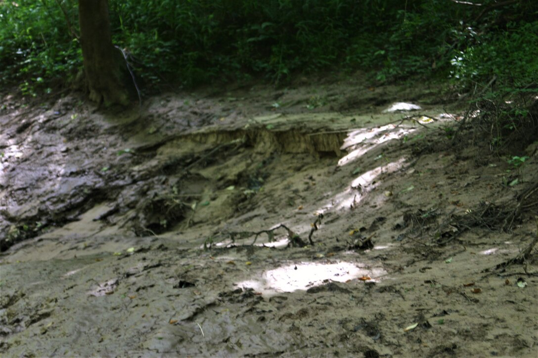 The Memphis District recently finalized the feasibility study phase of the Piney Creek Aquatic Ecosystem Restoration Project.

The study, conducted in accordance with Section 206 of the Water Resources Development Act of 1996, identified and evaluated alternatives in a decision document that recommended a coordinated and implementable solution for restoring aquatic ecosystem of Piney Creek.