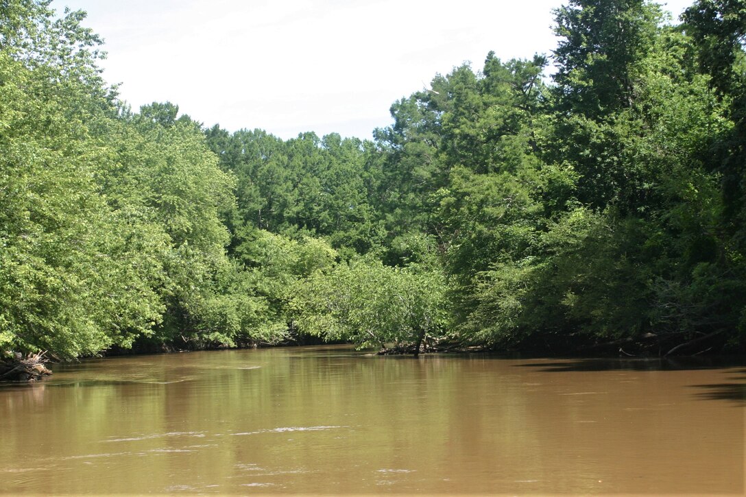 The Memphis District recently finalized the feasibility study phase of the Piney Creek Aquatic Ecosystem Restoration Project.

The study, conducted in accordance with Section 206 of the Water Resources Development Act of 1996, identified and evaluated alternatives in a decision document that recommended a coordinated and implementable solution for restoring aquatic ecosystem of Piney Creek.