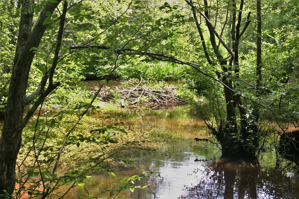 The Memphis District recently finalized the feasibility study phase of the Piney Creek Aquatic Ecosystem Restoration Project.

The study, conducted in accordance with Section 206 of the Water Resources Development Act of 1996, identified and evaluated alternatives in a decision document that recommended a coordinated and implementable solution for restoring aquatic ecosystem of Piney Creek.