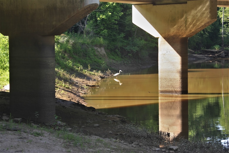 The Memphis District recently finalized the feasibility study phase of the Piney Creek Aquatic Ecosystem Restoration Project.

The study, conducted in accordance with Section 206 of the Water Resources Development Act of 1996, identified and evaluated alternatives in a decision document that recommended a coordinated and implementable solution for restoring aquatic ecosystem of Piney Creek.