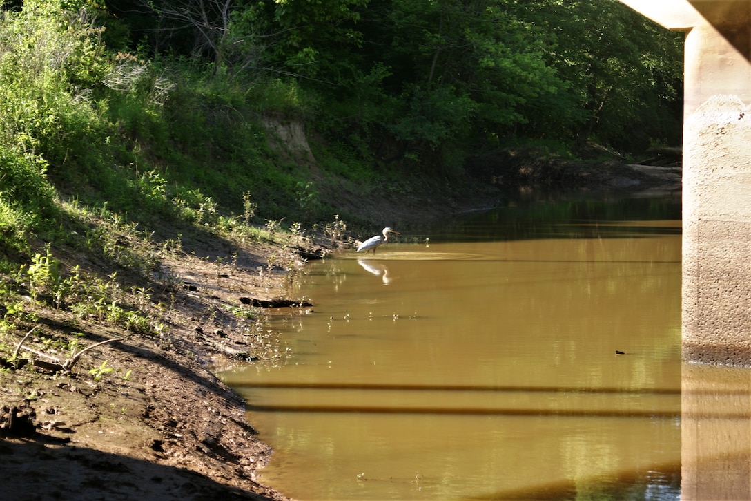 The Memphis District recently finalized the feasibility study phase of the Piney Creek Aquatic Ecosystem Restoration Project.

The study, conducted in accordance with Section 206 of the Water Resources Development Act of 1996, identified and evaluated alternatives in a decision document that recommended a coordinated and implementable solution for restoring aquatic ecosystem of Piney Creek.