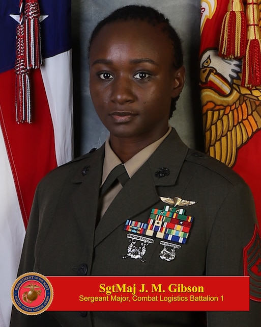 Sergeant Major J. M. Gibson > 1st Marine Logistics Group > Biography