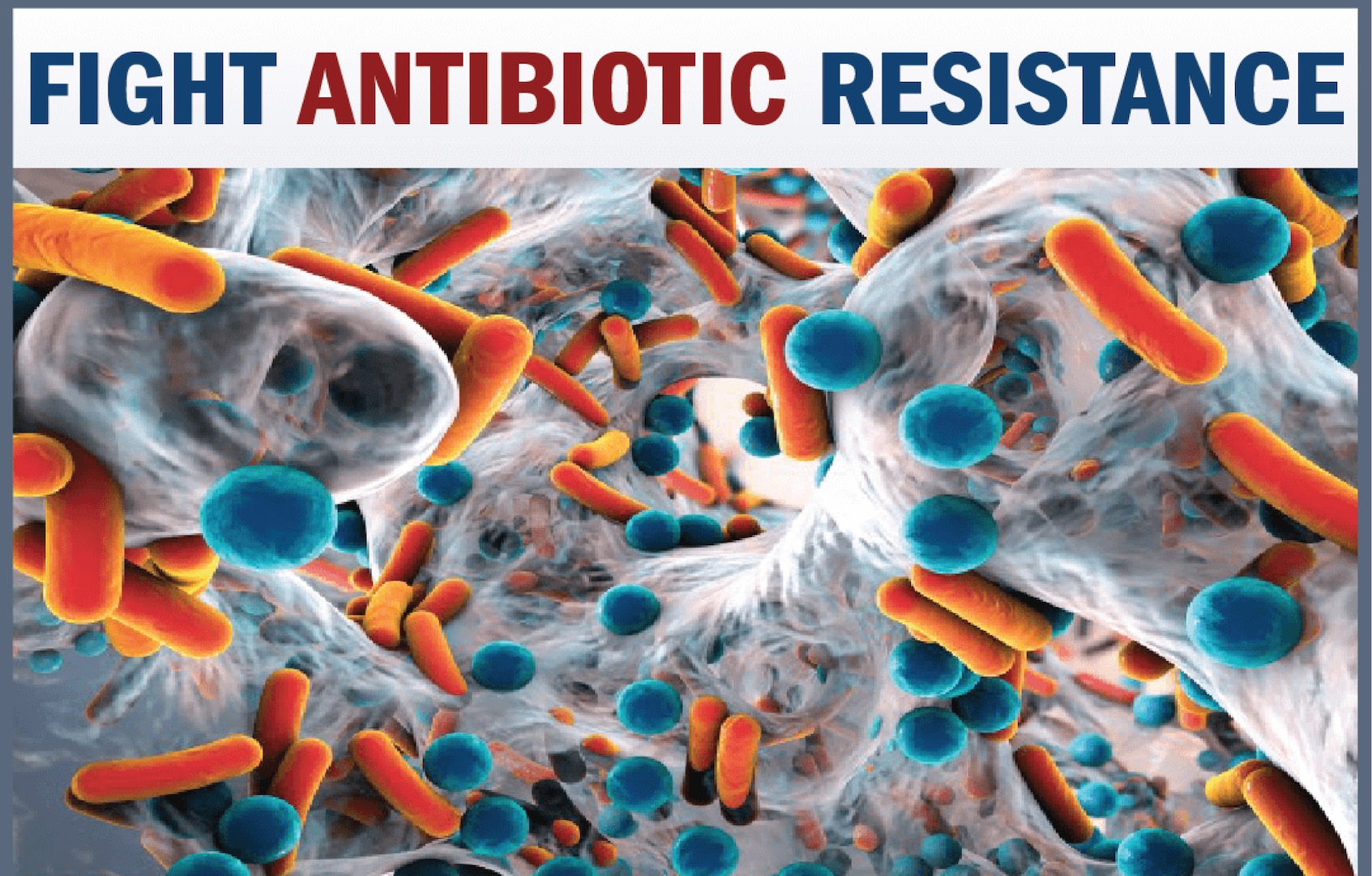 Graphic displays bacterial infection.