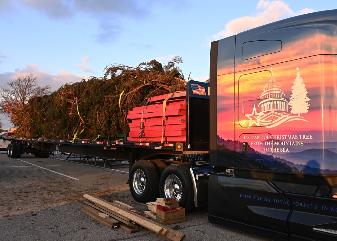 The 78-foot-tall Capitol Christmas Tree is displayed on the bed of a truck at Joint Base Andrews, Nov. 17, 2022. The Red Spruce nicknamed “Ruby” was harvested in the Pisgah National Forest of North Carolina on Nov. 2 and prepared for a nearly 1,000-mile expedition. (U.S. Air Force photo by Airman 1st Class Austin Pate)