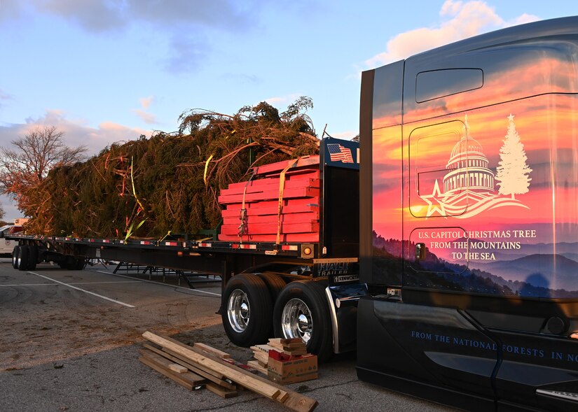 The 78-foot-tall Capitol Christmas Tree is displayed on the bed of a truck at Joint Base Andrews, Nov. 17, 2022. The Red Spruce nicknamed “Ruby” was harvested in the Pisgah National Forest of North Carolina on Nov. 2 and prepared for a nearly 1,000-mile expedition. (U.S. Air Force photo by Airman 1st Class Austin Pate)