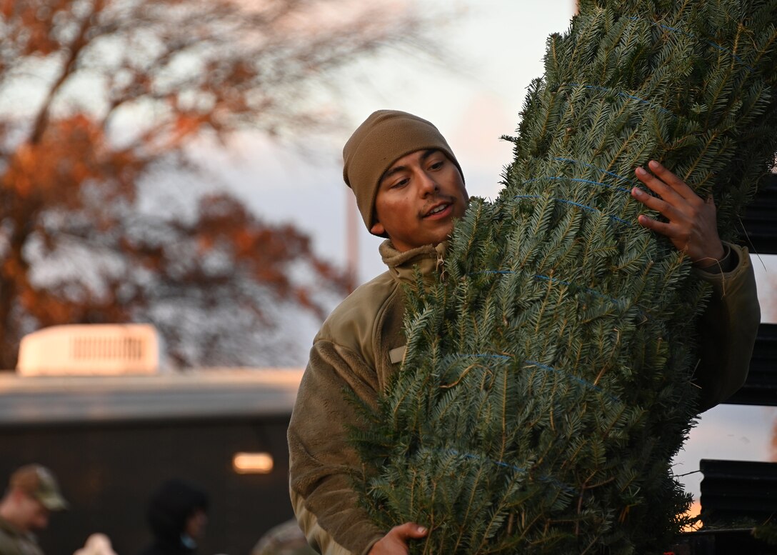 An Airman carries a donated Christmas Tree during the Capitol Christmas Tree event at Joint Base Andrews, Nov. 17, 2022. During the event, service members and families viewed the Capitol Christmas Tree, signed well wishes on the truck banners, and walked through an interactive display about the four national forests in North Carolina. (U.S. Air Force photo by Airman 1st Class Austin Pate)
