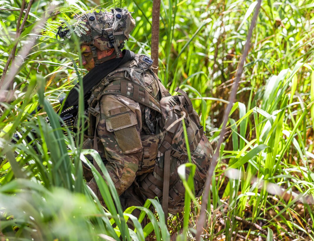 A Soldier from the 25th Infantry Division seeks cover and concealment in a grassy area of land during the Joint Pacific Multi-National Readiness Center rotation 22-01 exercise on Kahuku Training Area, Hawaii on Oct. 25, 2021. JPMRC Rotation 22-01 provides the 25th Infantry Division the opportunity to integrate and train alongside our partners and allies throughout the Indo-Pacific Region. (U.S. Army photo by Sgt. Carlie Lopez/28th Public Affairs Detachment)