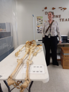 Dr. Rebecca J. Taylor, Forensic Anthropologist at Defense POW/MIA Accounting Agency (DPAA) stands beside a skeleton that was turned into DLA Disposition services. Dr. Taylor concluded that the skeleton specimen was in fact human remains and took possession of it to ensure a dignified transfer.