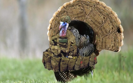 picture of a turkey with a combat helmet on and a subdued U.S. Flag hanging below its neck.