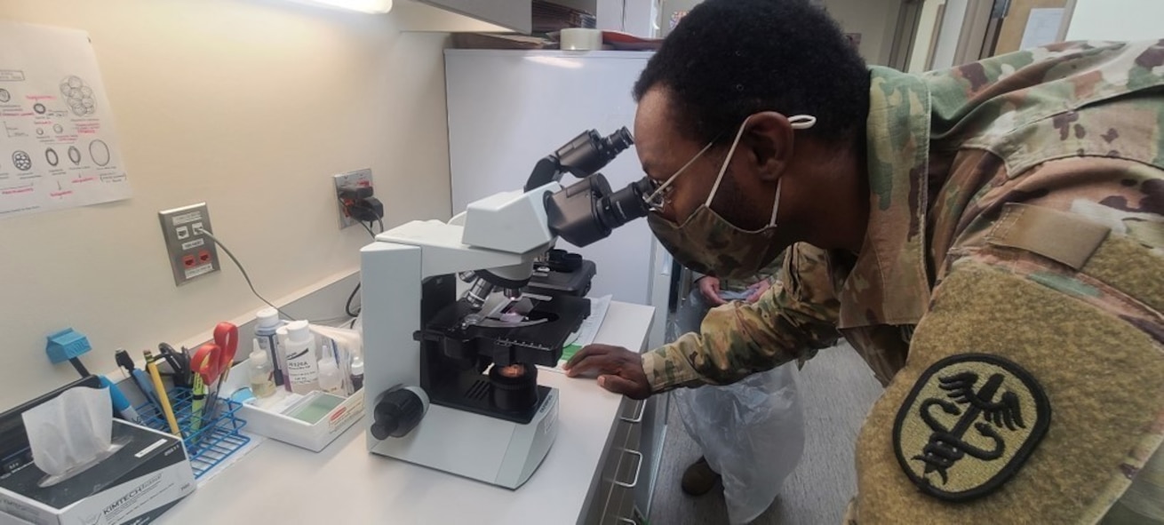 U.S. Army Sgt. Ashton Coleman, a veterinary food inspector assigned to Public Health Activity – Fort Lewis, Kitsap Branch, examines a specimen slide under a microscope at Naval Base Bangor, Wash., Aug. 26, 2021. Coleman participated in cross training at the Bangor Veterinary Treatment Facility, where he had the opportunity to perform microscopic examination for microfilaria, perform cytological examinations, and detect common blood parasites, all on animal specimens. (U.S. Army photo by Cpl. Samuel Vargas)