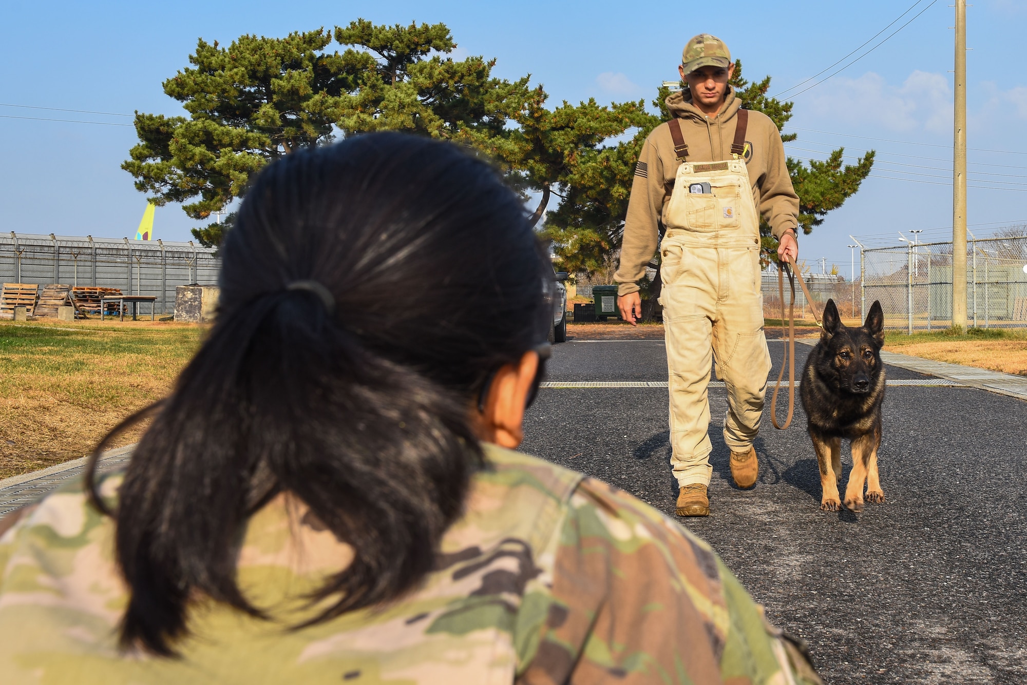U.S. Army Capt. Denise Sorbet (left), 106th Medical Detachment Veterinary Service Support Team II officer in charge, watches as Military Working Dog Nex walks toward her at Kunsan Air Base, Republic of Korea, Nov. 16, 2022. Veterinarians assess MWDs’ health and overall wellness by watching for signs as they move. (U.S. Air Force photo by Tech. Sgt. Timothy Dischinat)