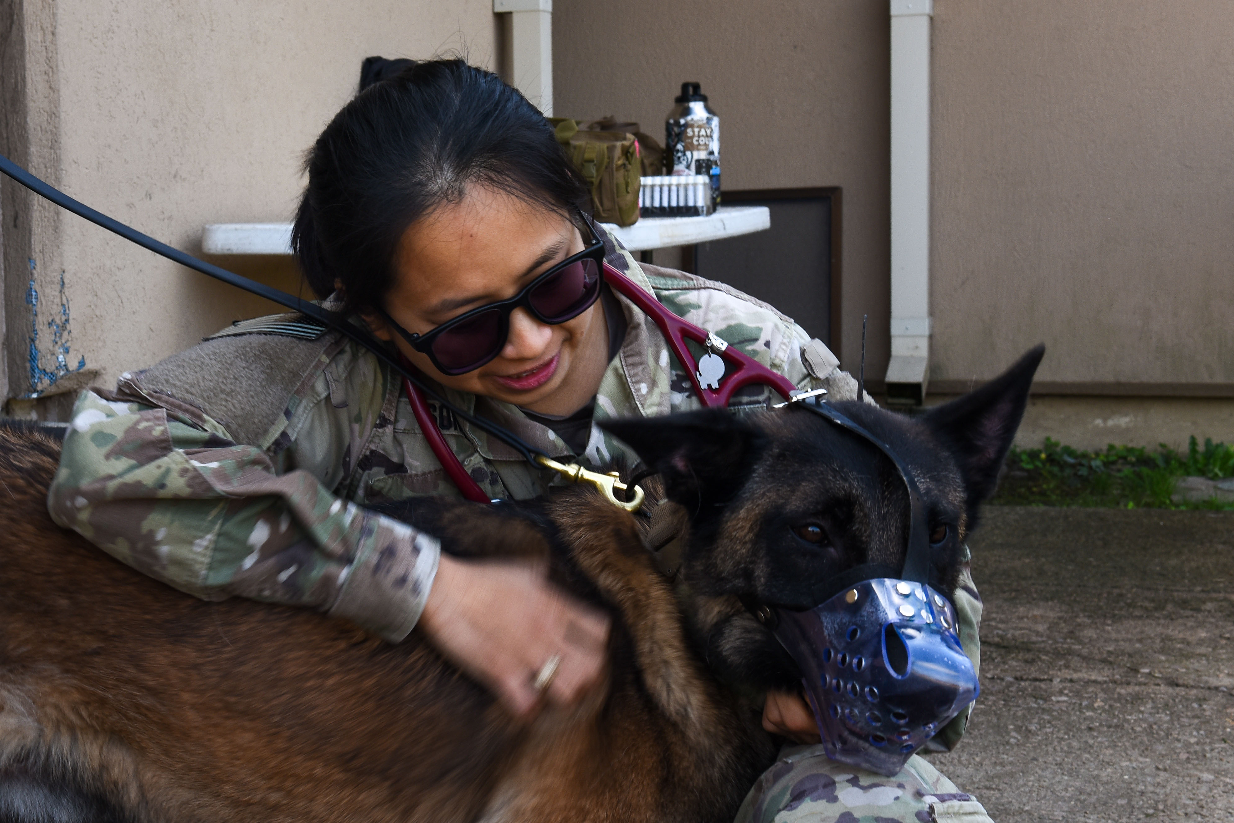 Army Veterinary Corps brings K9 care to Kunsan > Kunsan Air Base