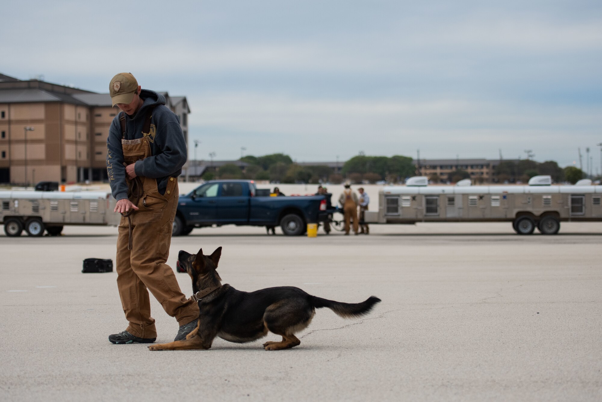 Military working dog handler signals toward a military working dog while demonstrating obedience training
