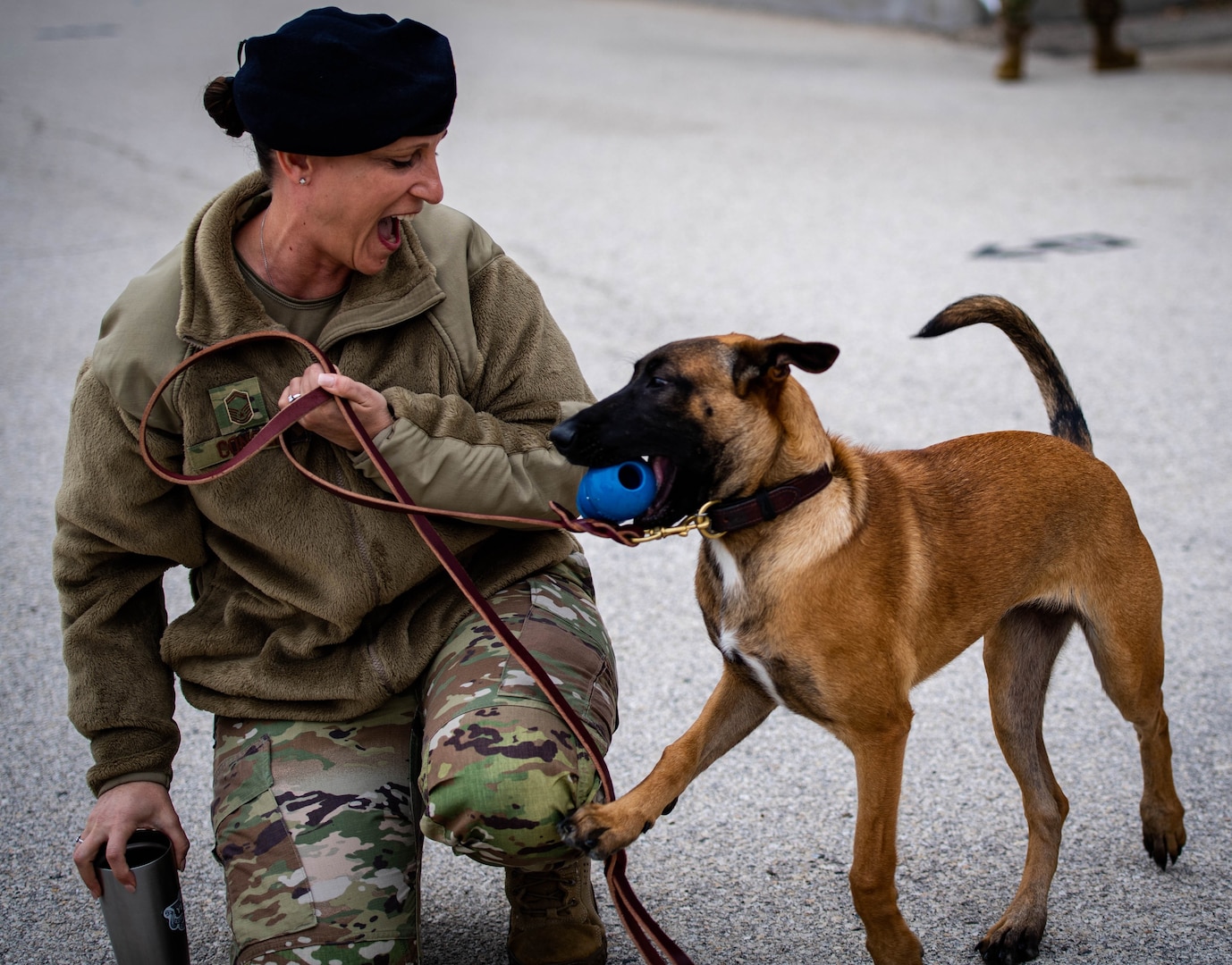 341st Training Squadron holds first military working dog expo