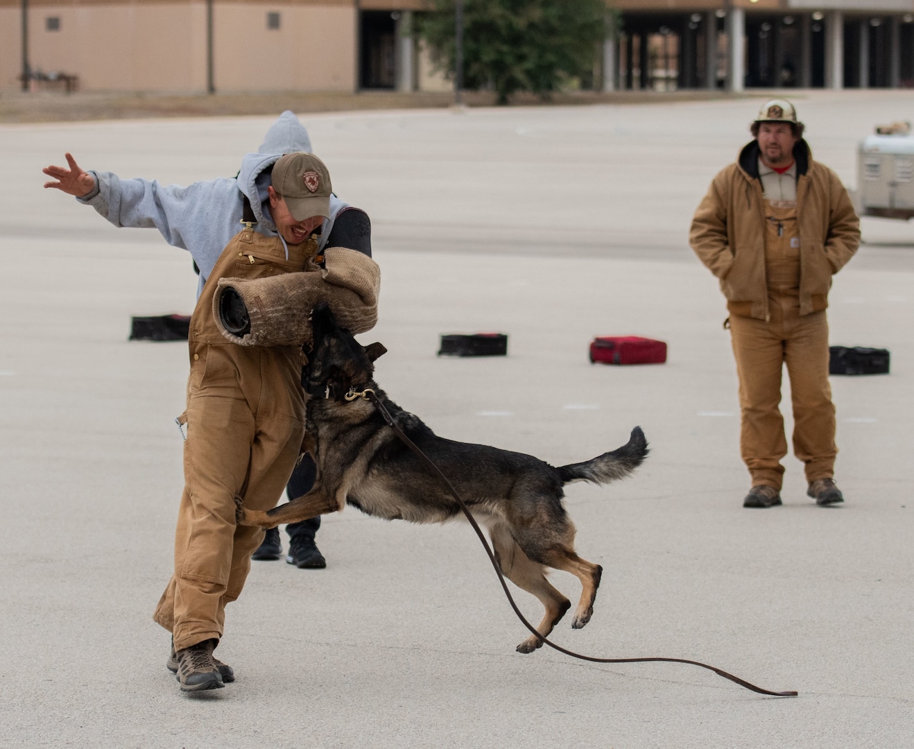 341st Training Squadron holds first military working dog expo