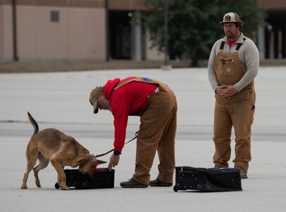 341st Training Squadron holds first military working dog expo