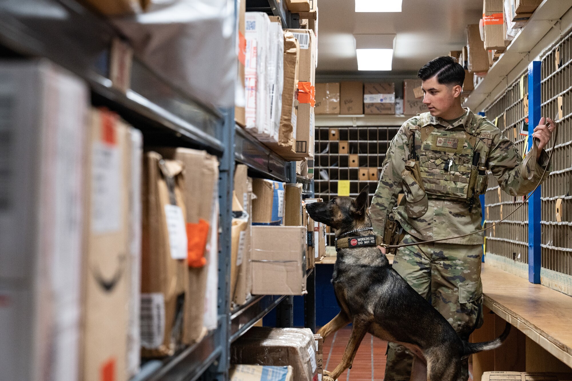 Senior Airman Gus Glackin, 8th Security Forces Squadron military working dog handler, and MWD Xxotchitl, check packages for bombs during a routine packaging inspection at Kunsan Air Base, Republic of Korea, Nov. 26, 2022. The postal office always has MWDs check all packages for bombs to mitigate the possibility of bringing harm to the installation. (U.S. Air Force photo by Staff Sgt. Sadie Colbert)