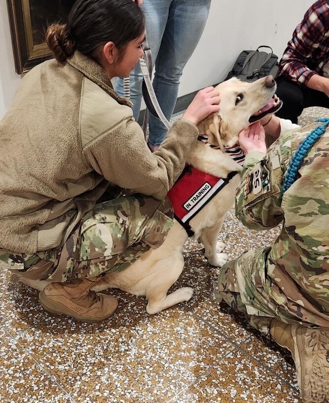 Oliver, a five-year old yellow Labrador Retriever belonging to Special Agent Nicole Sawicki, Senior Enlisted Leader at OSI Det. 439, USAFA, Colo., interacts with USAFA cadets in his role as a Go Team trained Therapy Dog for the detachment. (Photo by SA Nicole Sawicki)