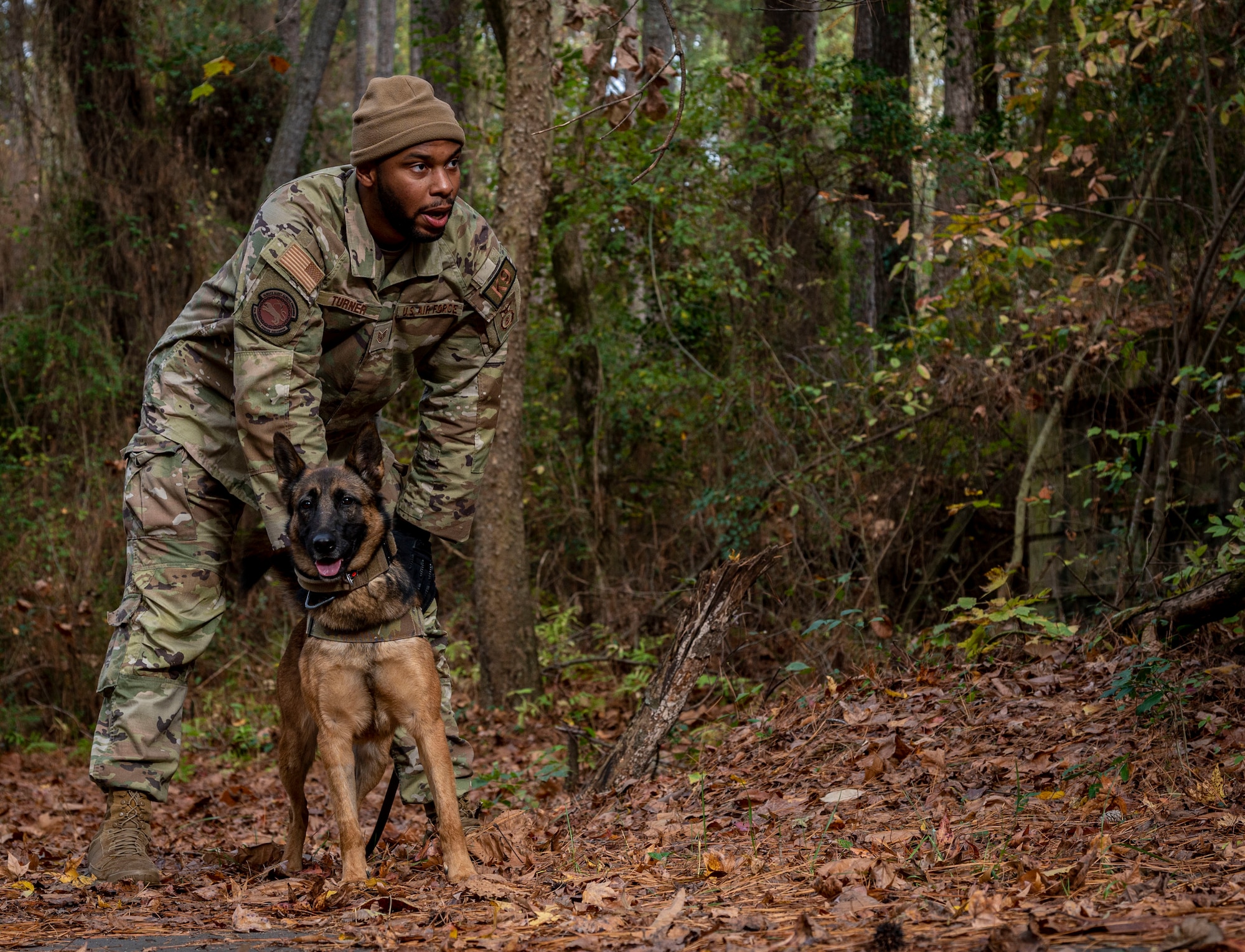 Staff Sgt. Deandre Turner, 4th Security Forces Squadron military working dog handler, works with Bonnie, 4th SFS MWD, to search for Airmen during Survival, Evasion, Resistance and Escape training at Seymour Johnson Air Force Base, North Carolina, Nov. 16, 2022. The 4th Operations Support Squadron SERE instructors conduct training with 4th SFS to enhance operations for both squadrons while providing real-world scenarios for Airmen. (U.S. Air Force photo by Airman 1st Class Sabrina Fuller)