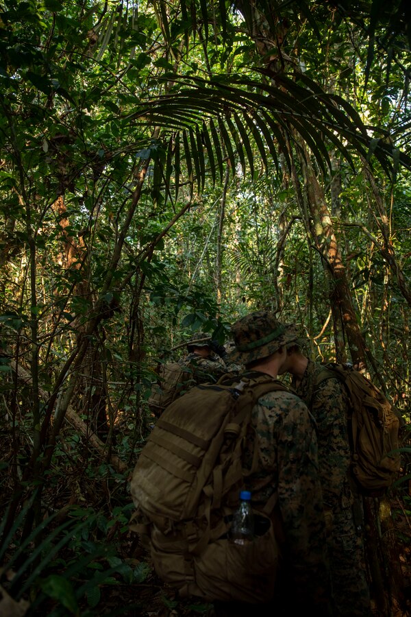 U.S. Marines and Sailors with 2d Battalion, 2d Marine Regiment, 2d Marine Division, hike during a land navigation course as part of a bilateral jungle training event in Manaus, Brazil, Sept. 26, 2022. The Amazon jungle has significant waterways and littoral environments, the Brazilian Marines shared their vast knowledge and experience from operating along these rivers regularly. U.S. partnerships in the U.S. Southern Command area of responsibly are forged by shared challenges and common objectives. Bilateral training events such as jungle training develops and sustains relationships that improve the capacity of U.S. and partner nation maritime forces to achieve common desired effects. This exchange of knowledge between critical regional partners fosters interoperability, friendly relationships, and mutual cooperation. (U.S. Marine Corps photo by Sgt. Camila Melendez)