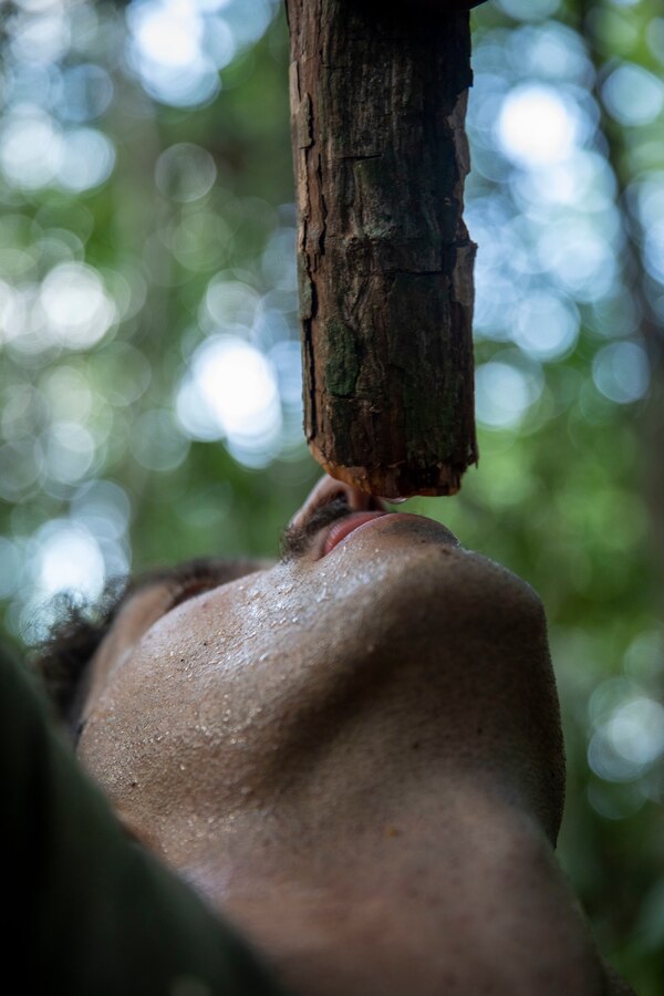 U.S. Marine Corps Sgt. Thomas Freckleton, an infantry Marine with 2d Battalion, 2d Marine Regiment, 2d Marine Division, drinks water out of a vine as part of a bilateral jungle training event in Manaus, Brazil, Sept. 28, 2022. Throughout the training event, U.S. Marines applied tactics and knowledge given to them by the Brazilian Marines, who regularly operate in the Amazon jungle. Exercises and bilateral training events like Brazil’s jungle training provide the opportunity for U.S. Marines to train alongside partner forces in unique and complex environments to develop and improve readiness. Training in austere locations provide the opportunities to develop skills that are critical to force readiness and employment in the future operating environment. (U.S. Marine Corps photo by Sgt. Camila Melendez)