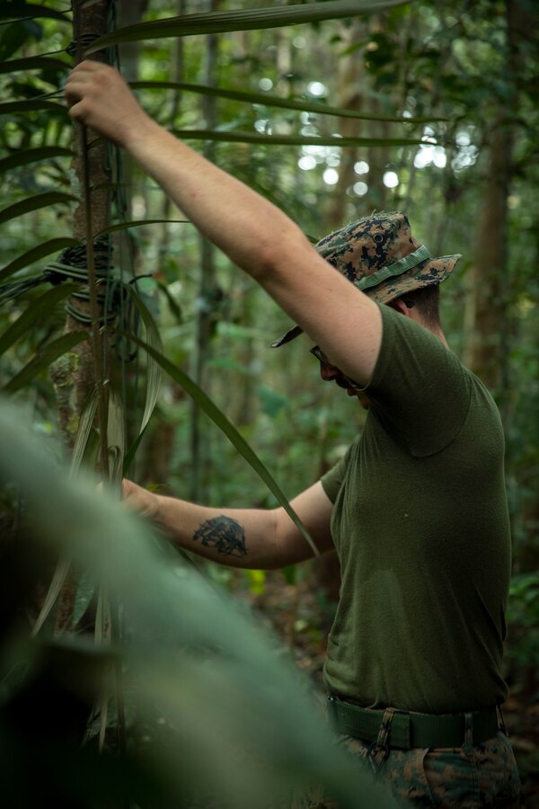 U.S. Marine Corps Cpl. Ethan Smith, an infantry Marine with 2d Battalion, 2d Marine Regiment, 2d Marine Division, fixes palm tree leaves for a fire shelter as part of a bilateral jungle training event in Manaus, Brazil, Sept. 28, 2022. Throughout the training event, U.S. Marines applied tactics and knowledge given to them by the Brazilian Marines, who regularly operate in the Amazon jungle. Exercises and bilateral training events like Brazil’s jungle training provide the opportunity for U.S. Marines to train alongside partner forces in unique and complex environments to develop and improve readiness. Training in austere locations provide the opportunities to develop skills that are critical to force readiness and employment in the future operating environment. (U.S. Marine Corps photo by Sgt. Camila Melendez)