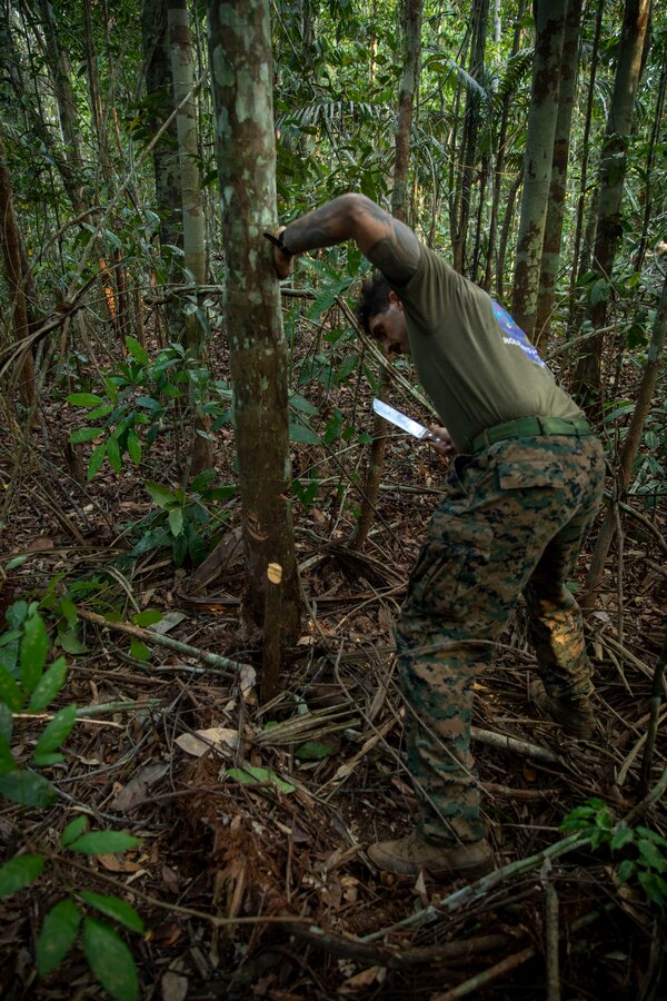 U.S. Marine Corps Sgt. Thomas Freckleton, an infantry Marine with 2d Battalion, 2d Marine Regiment, 2d Marine Division, cuts down a tree to make a shelter as part of a bilateral jungle training event in Manaus, Brazil, Sept. 28, 2022. The U.S. Marines received detailed classes from their Brazilian counterparts on how to care for and utilize the resources of the jungle for survival and sustainment. Exercises and bilateral training events like Brazil’s jungle training provide the opportunity for U.S. Marines to train alongside partner forces in unique and complex environments to develop and improve readiness. Training in austere locations provide the opportunities to develop skills that are critical to force readiness and employment in the future operating environment. (U.S. Marine Corps photo by Sgt. Camila Melendez)