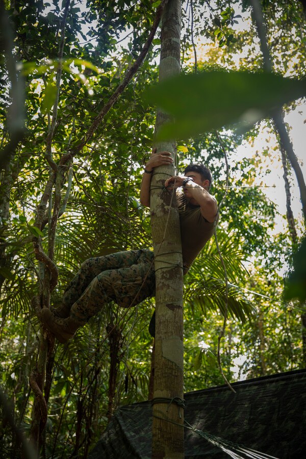 U.S. Marine Corps Lance Cpl. Damian Magana, an infantry Marine with 2d Battalion, 2d Marine Regiment, 2d Marine Division, climbs a tree to take down his hammock during a bilateral jungle training event in Manaus, Brazil, Sept. 29, 2022. With the significant number of deadly animals that coexist in the Amazon jungle, U.S. Marines were instructed to sleep elevated off the ground for force protection and survival. Exercises and bilateral training events like Brazil’s jungle training provide the opportunity for U.S. Marines to train alongside partner forces in unique and complex environments to develop and improve readiness. Training in austere locations provide the opportunities to develop skills that are critical to force readiness and employment in the future operating environment. (U.S. Marine Corps photo by Sgt. Camila Melendez)