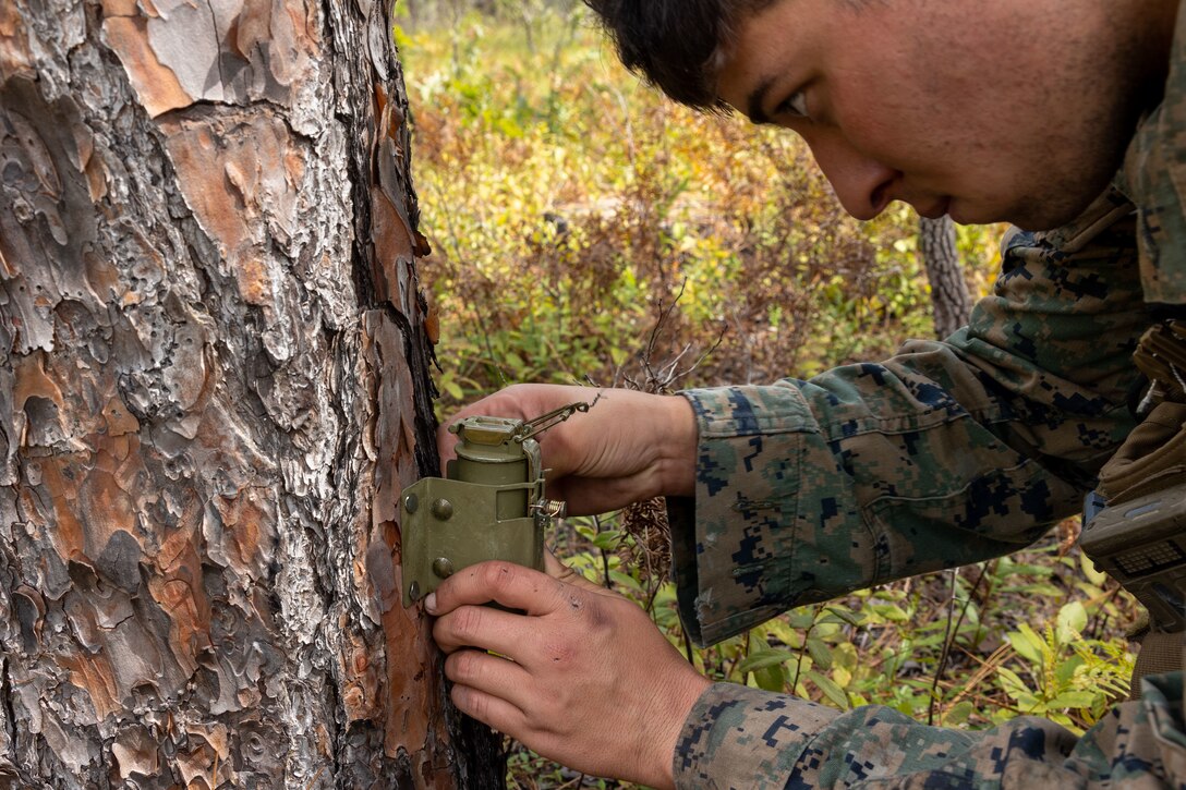 A Marine attaches a device to the base of a tree.