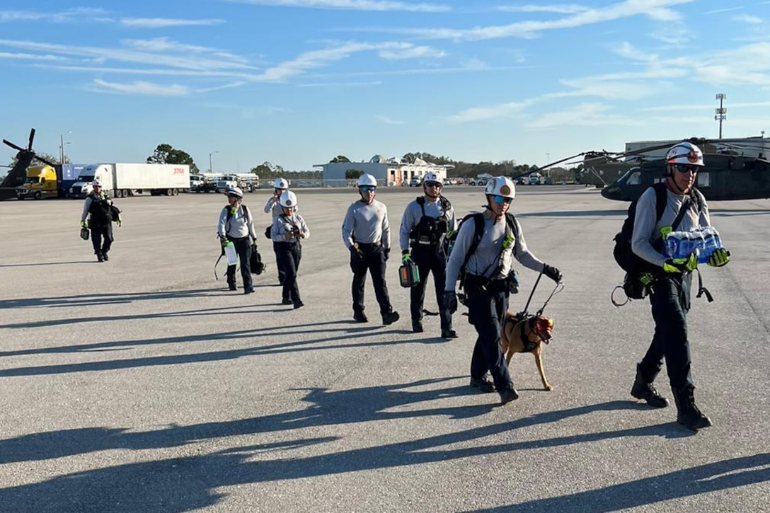 A group of people and a dog walk in a line on a tarmac.