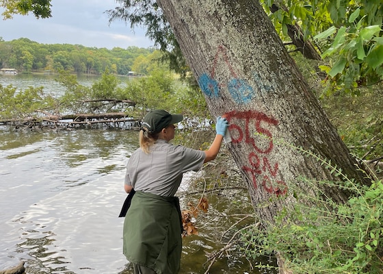 Park Ranger Tiffannie “Chee” Hill covers unsightly graffiti on a tree at Stark Knob Boat Ramp on Old Hickory Lake in Hendersonville, Tennessee. Volunteers and park rangers covered graffiti located on several trees and park benches during National Public Lands Day.