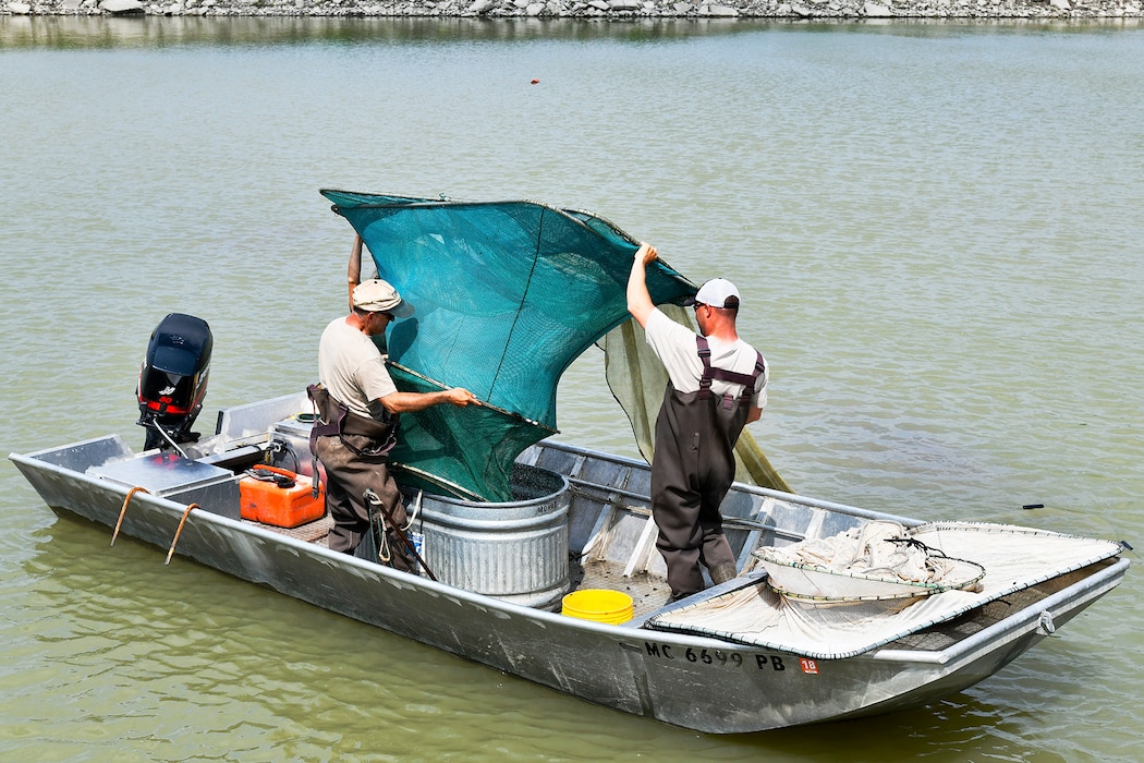 Walleye fish catch off the shores of Selfridge Air National Guard Base.