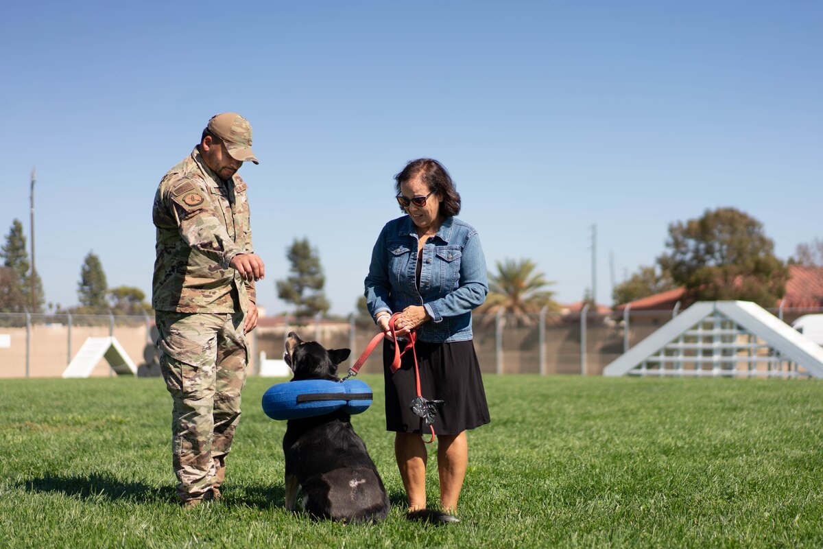 Airman petting a dog