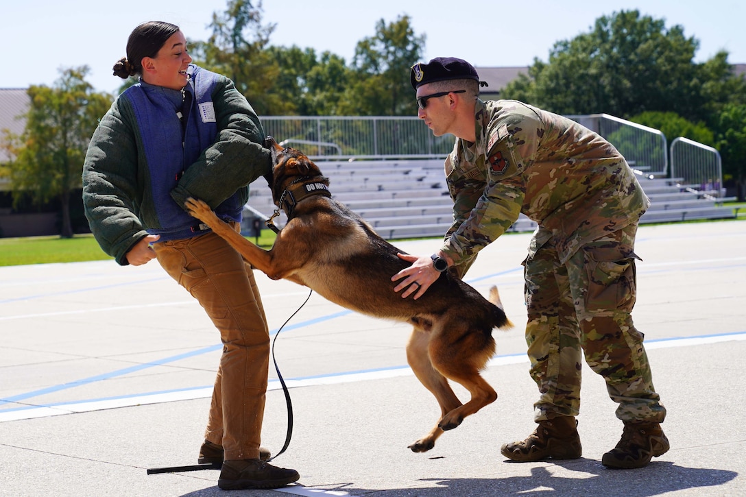 A military working dog jumps at an airman.