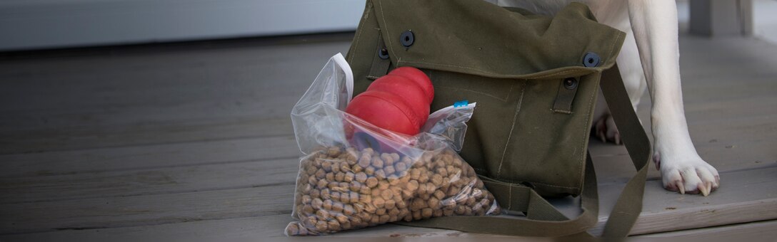 Ready Marine Corps, Plans for Pets