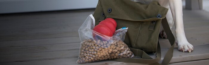 Ready Marine Corps, Plans for Pets