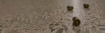Bullet casings lay on the floor after an active shooter drill at Marine Corps Air Station Cherry Point, North Carolina, Sept. 23, 2020. The exercise simulated an active shooter threat to better prepare base personnel in case of a real-world incident. (U.S. Marine Corps photo by Lance Cpl. Jacob Bertram) Cropped version of original photo VIRIN 200923-M-KY087-1018