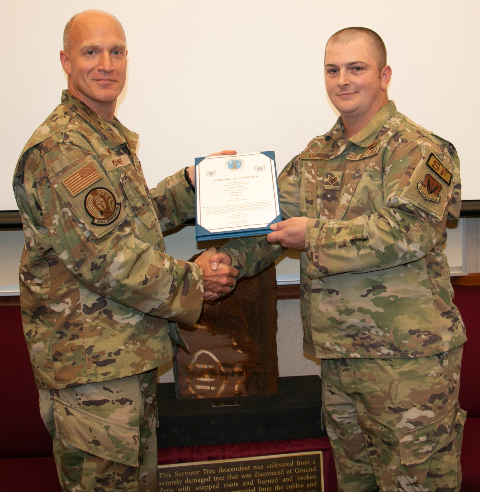 Relyea promoted to technical sergeant