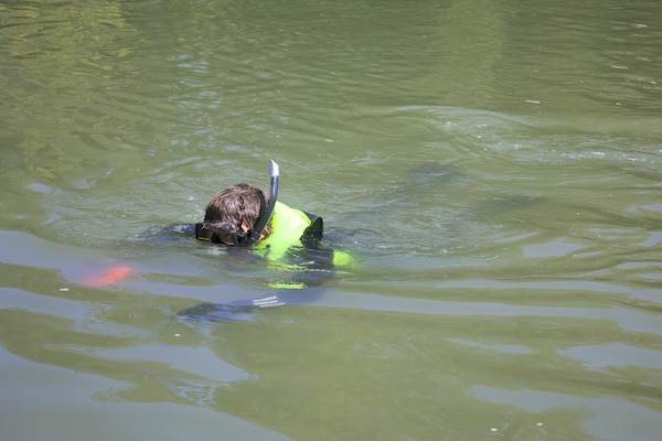 Mobile District snorkel team lead TJ Rickey snorkeling in Choccolocco Creek in Alabama on September 19, 2022, searching for three threatened and endangered freshwater snail species known to occur within the creek. (U.S. Army photo by Jeremy Murray)