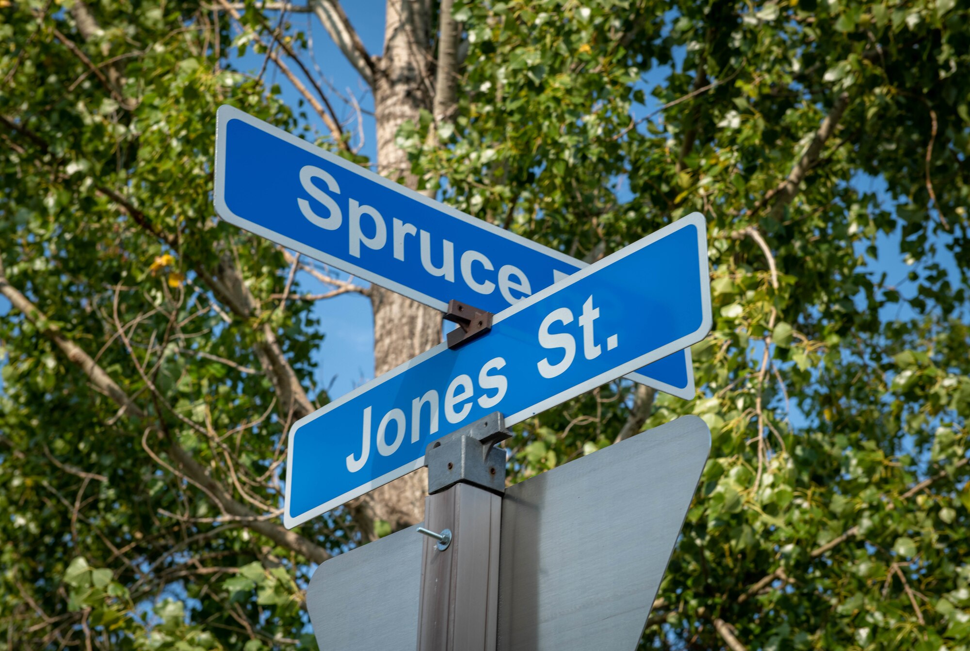 A blue and white street sign displays the names Spruce Street and Jones Street in front of trees and a blue sky.