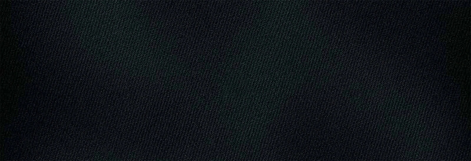 Banner Graphic