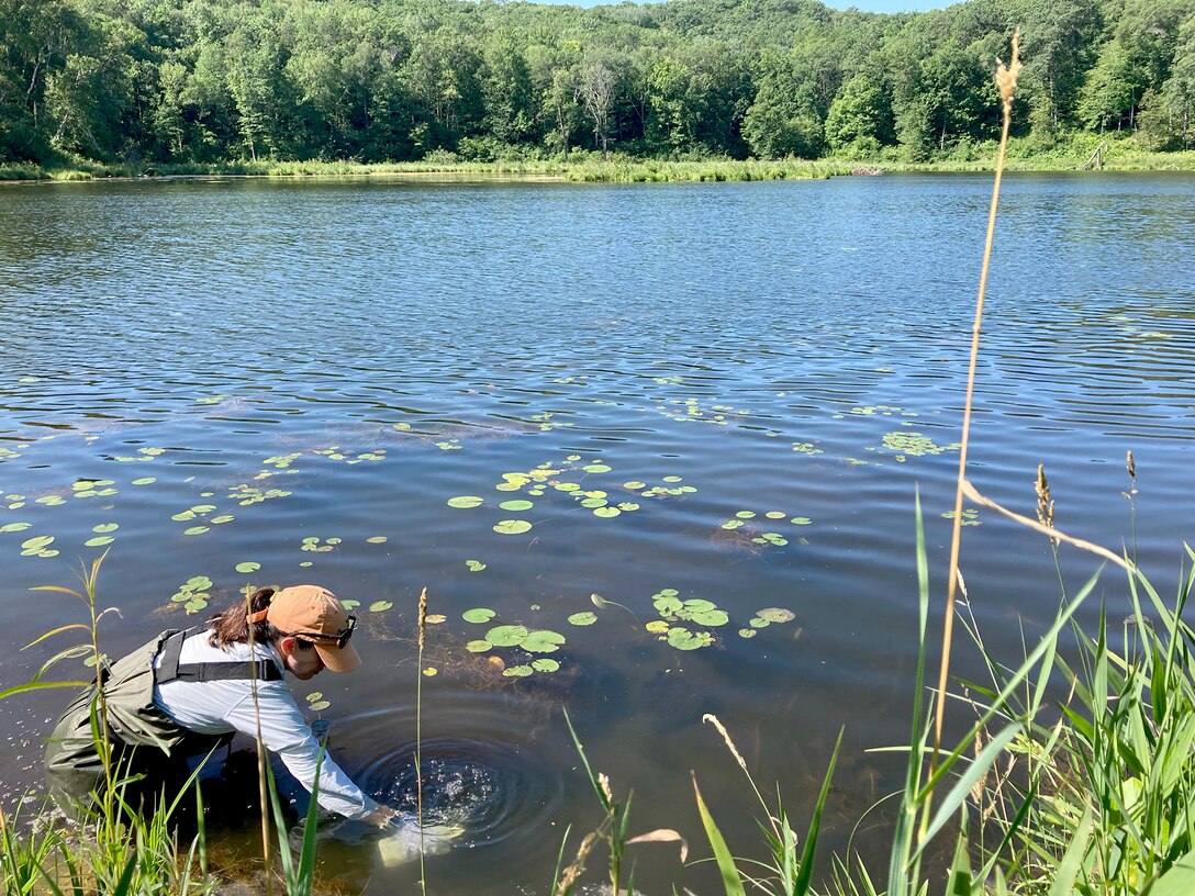 A woman in a hat and water wading gear stands in a lake collecting water samples. The water is full of green leaves and surrounded by vegetation.