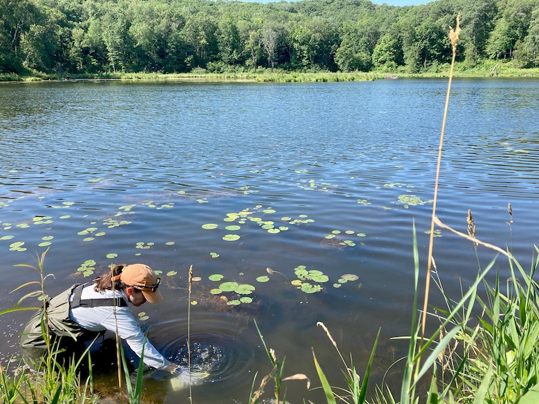 A woman in a hat and water wading gear stands in a lake collecting water samples. The water is full of green leaves and surrounded by vegetation.