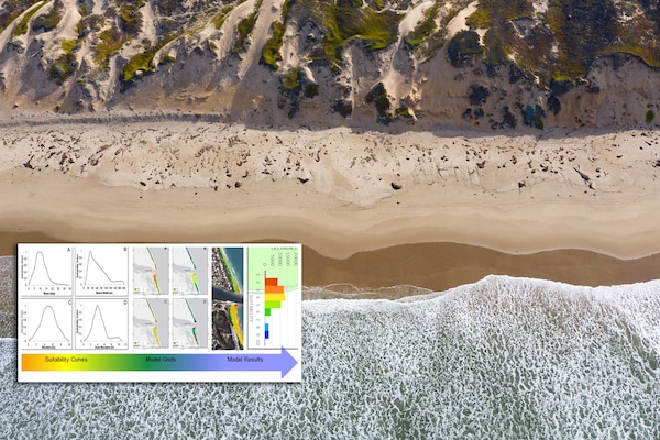 A beach in day light with waves flowing gently on the shore. An inserted graphic shows and arrow point left to right withh multiple colors.
