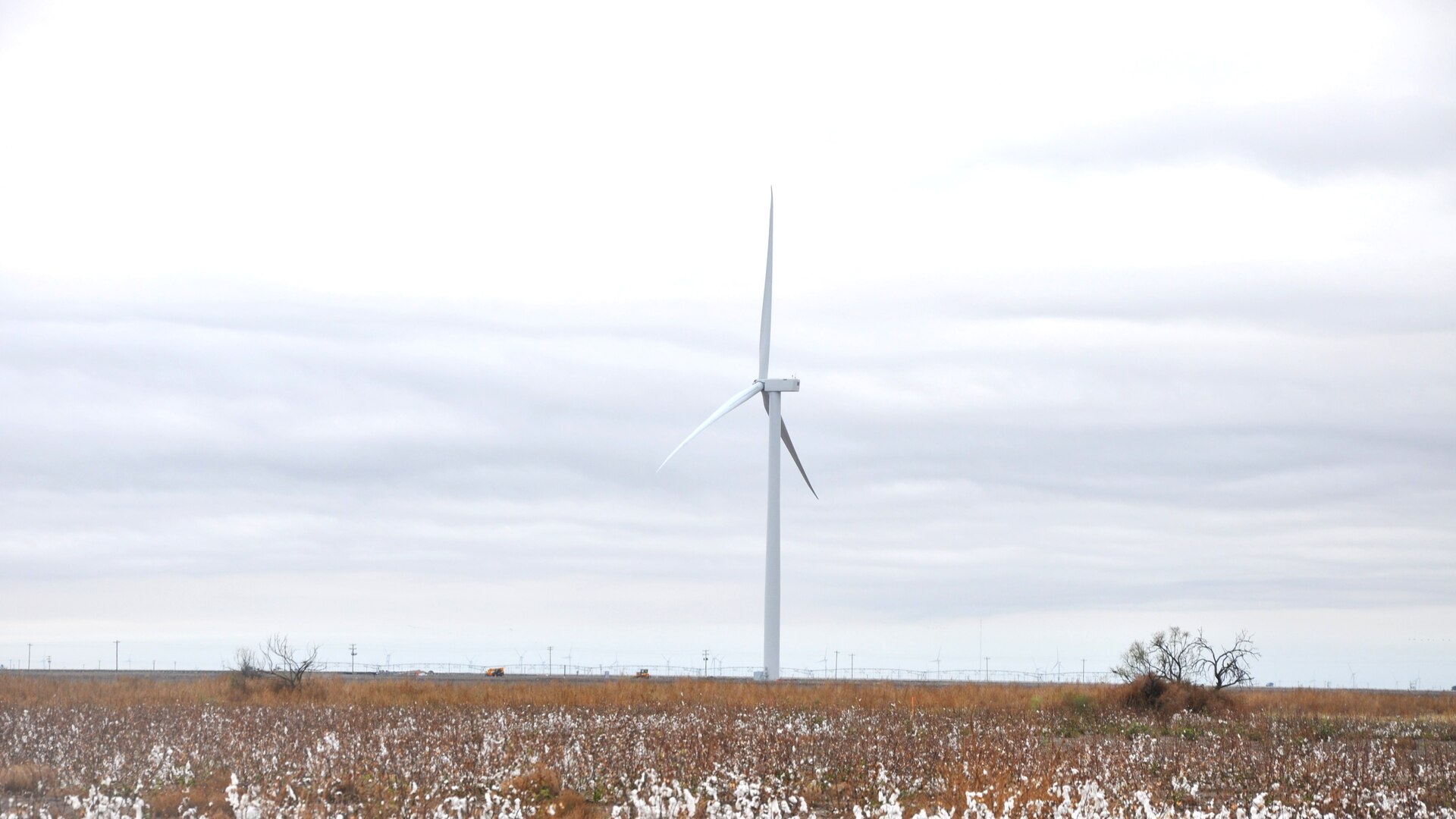 a wind turbine in a field