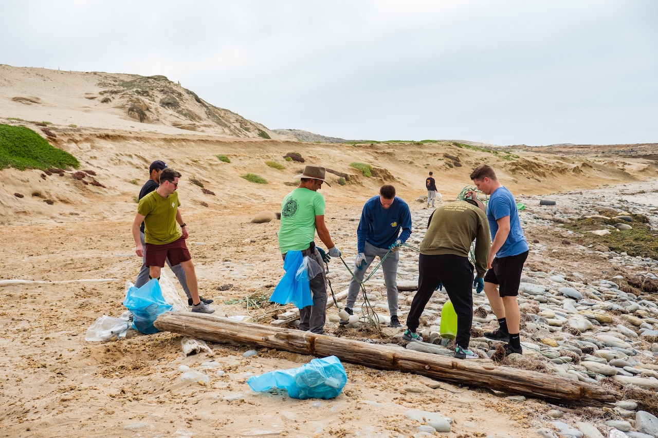 A group of people remove trash from a beach.