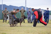 Photo by Cpl. Raymond Tong