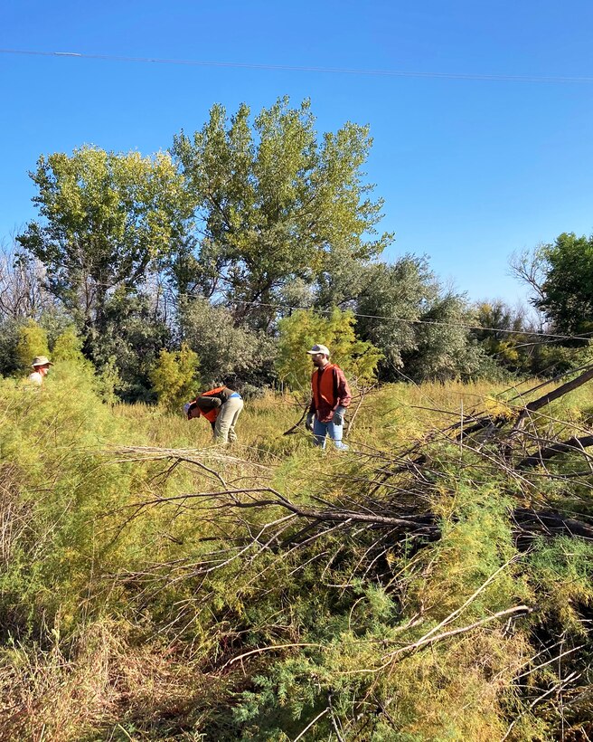 Albuquerque District Recreation Program Manager Mike Bullock piles cut tamarisk during the National Public Lands Day event at John Martin Reservoir, Sept. 24, 2022. The tamarisk piles were later wood chipped.